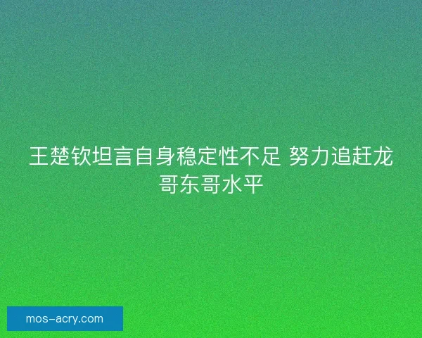 王楚钦坦言自身稳定性不足 努力追赶龙哥东哥水平