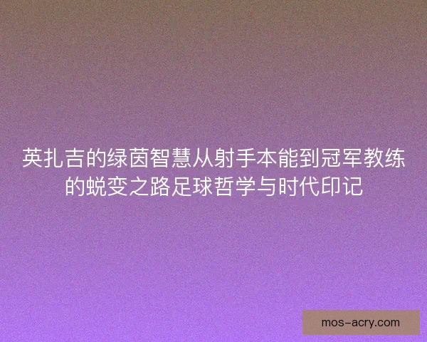 英扎吉的绿茵智慧从射手本能到冠军教练的蜕变之路足球哲学与时代印记