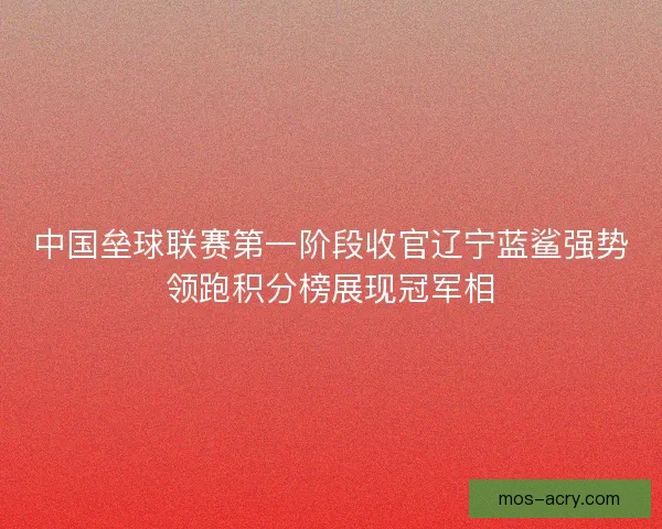 中国垒球联赛第一阶段收官辽宁蓝鲨强势领跑积分榜展现冠军相 中国垒球联赛第一阶段收官辽宁蓝鲨强势领跑积分榜展现冠军相